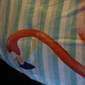 Coastal Home Beach Towel ⛱️ size 36 inches x 68 inches. Big and soft.